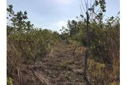 Se vende 1 hectárea en santa catalina, veraguas. panamá.