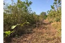 Se vende 1 hectárea en santa catalina, veraguas. panamá.