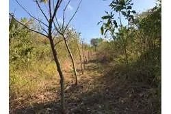 Se vende 1 hectárea en santa catalina, veraguas. panamá.