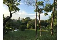 Se venden lotes en lagartero, sona - provincia de veraguas