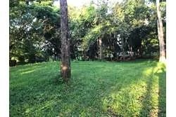 Se venden lotes en lagartero, sona - provincia de veraguas