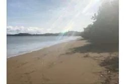 Se venden lotes en lagartero, sona - provincia de veraguas