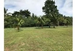 138922 - Veraguas - lots