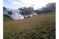 Se vende terreno en santa catalina