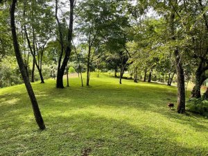 138932 - Santa catalina - lots