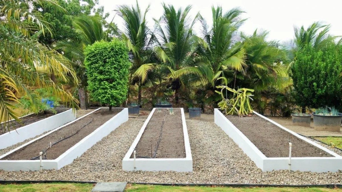 Se alquila casa  de 3 habitaciones en hacienda pacifica, san carlos