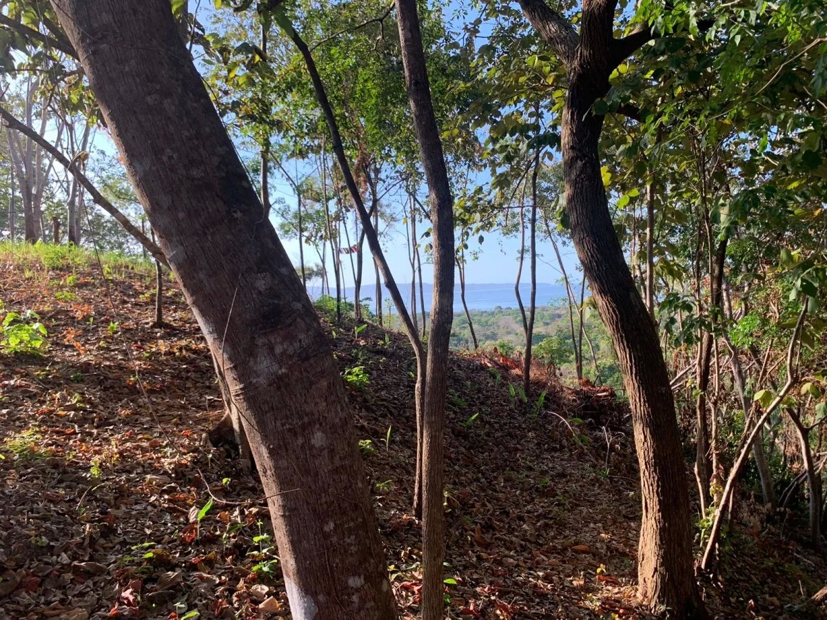 Propiedad en venta en santa catalina, veraguas (la propiedad mide 1000...