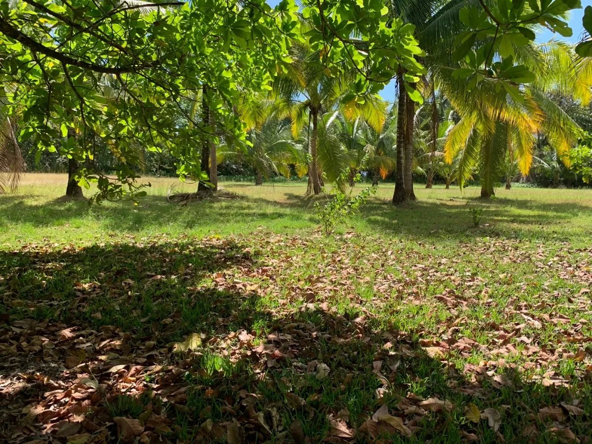 Se vende lote de 2600 metros cuadrados, lago bay, veraguas; cerca de santa catalina, frente a la playa.
