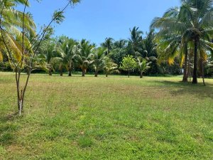 138942 - Santa catalina - lots