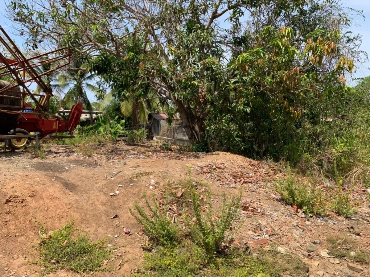 Se vende lote de 500 metros cuadrados en la localidad de pedasi, provincia de los santos.