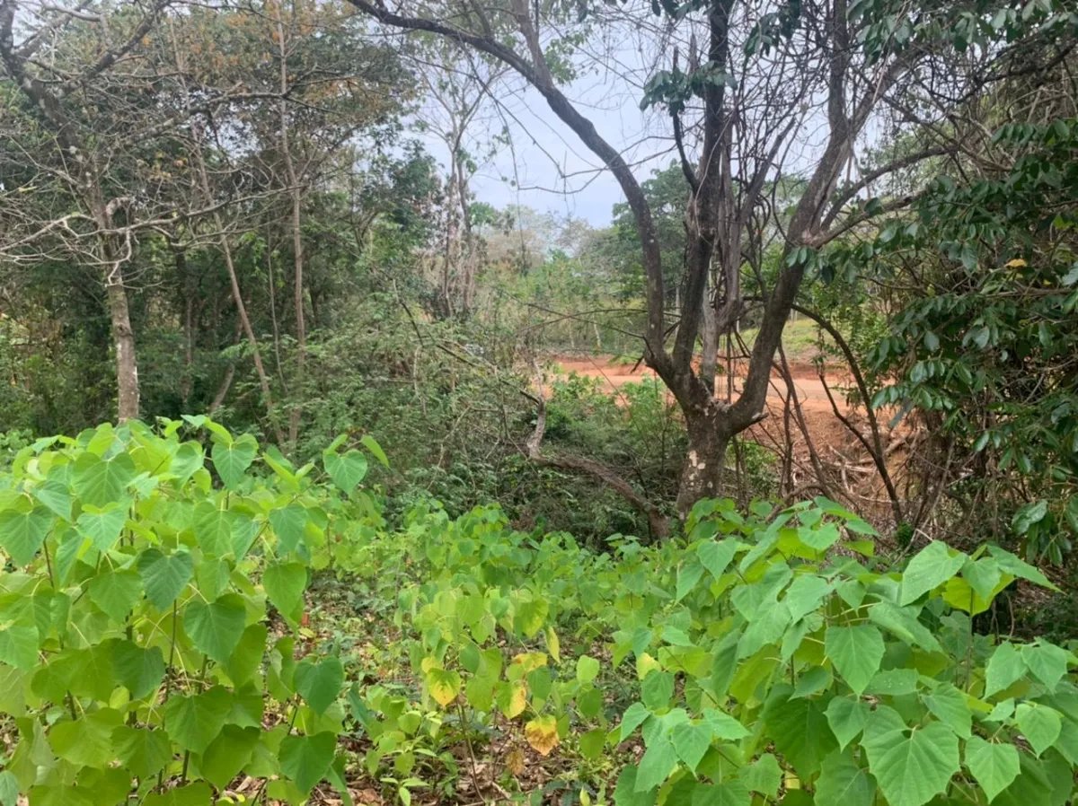 Lote en venta en santa catalina, veraguas. de 2700 metros cuadrados.