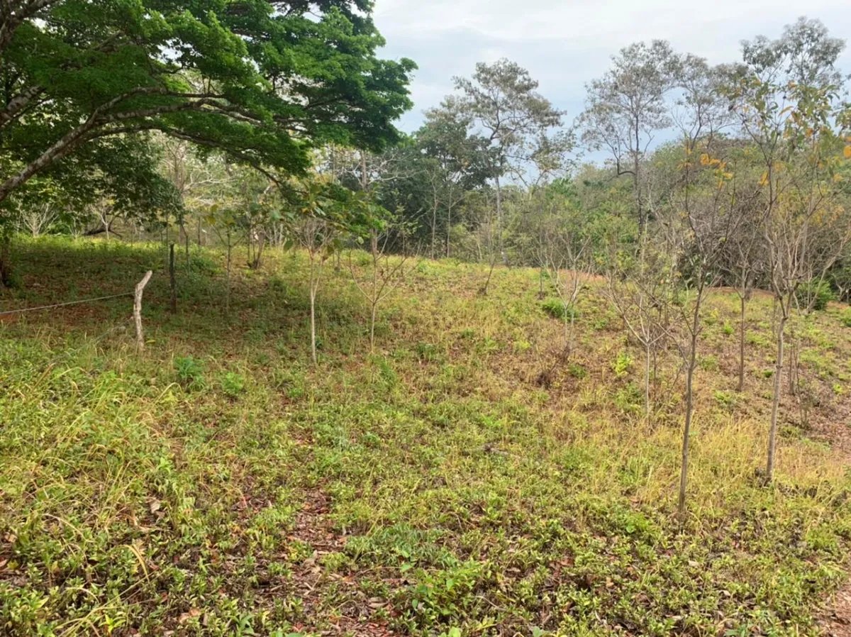 Lote en venta en santa catalina, veraguas. de 2700 metros cuadrados.