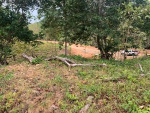 138945 - Santa catalina - lots