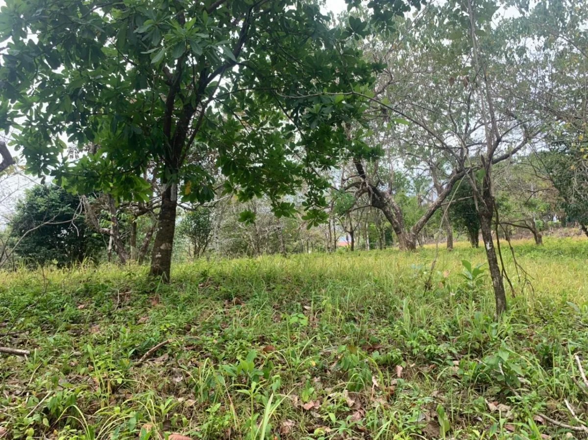 Lote en venta en santa catalina, veraguas. de 3200 metros cuadrados.