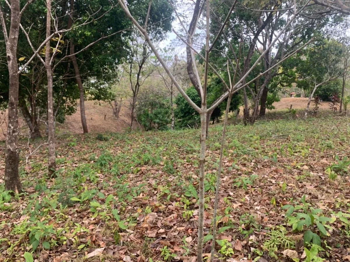 Lote en venta en santa catalina, veraguas. de 6700 metros cuadrados