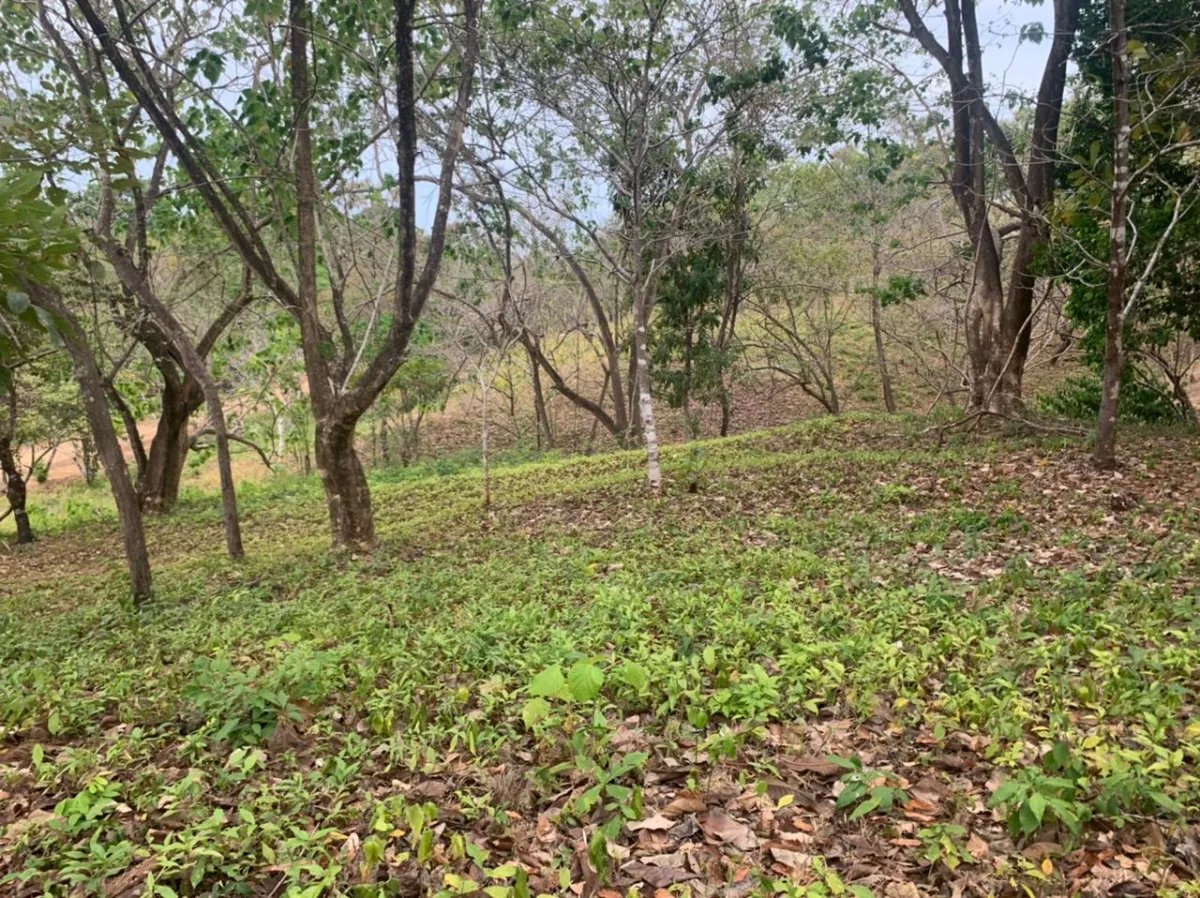 Lote en venta en santa catalina, veraguas. de 6700 metros cuadrados