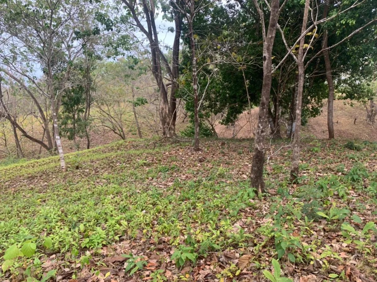 Lote en venta en santa catalina, veraguas. de 6700 metros cuadrados