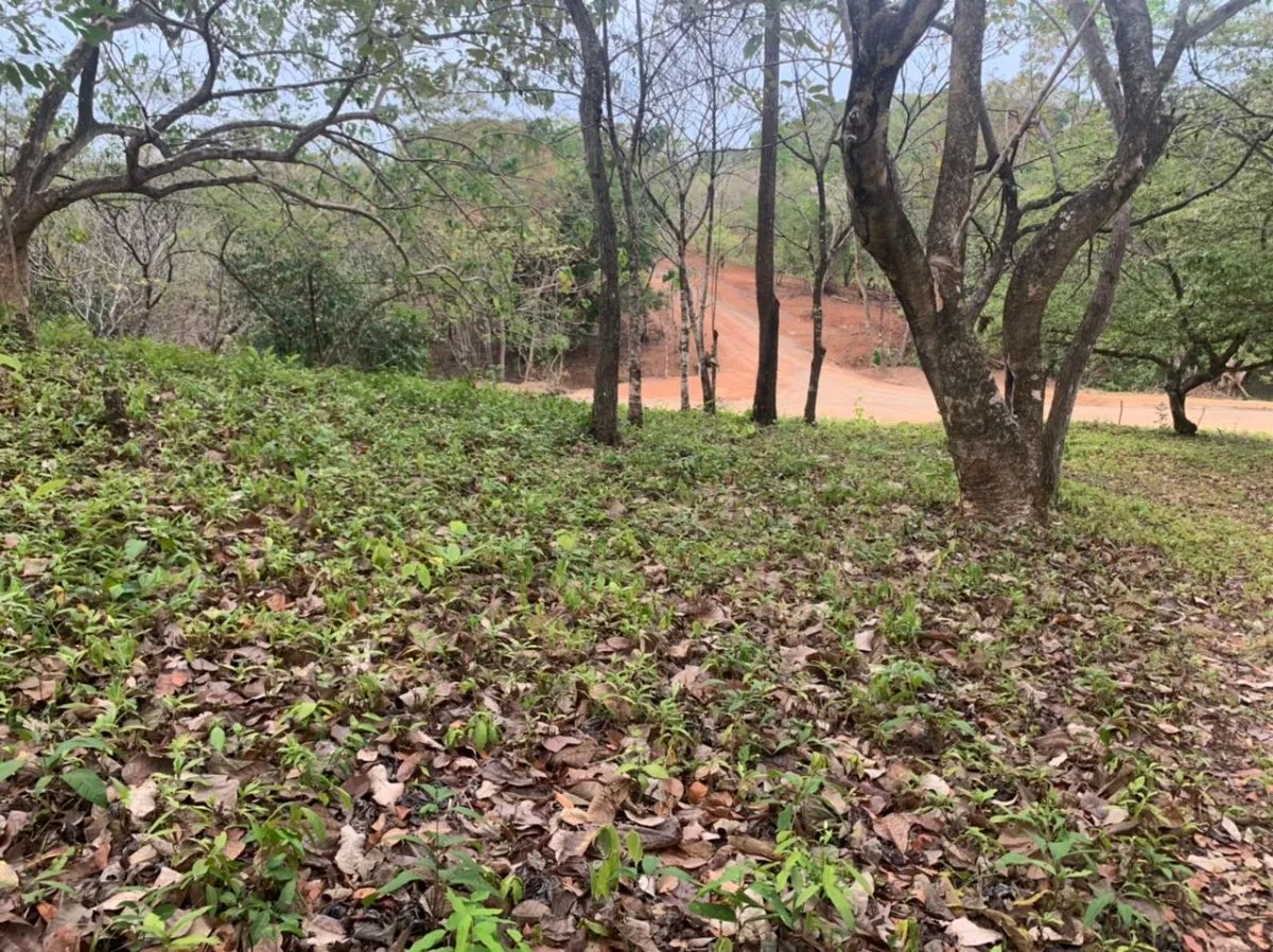 Lote en venta en santa catalina, veraguas. de 6700 metros cuadrados