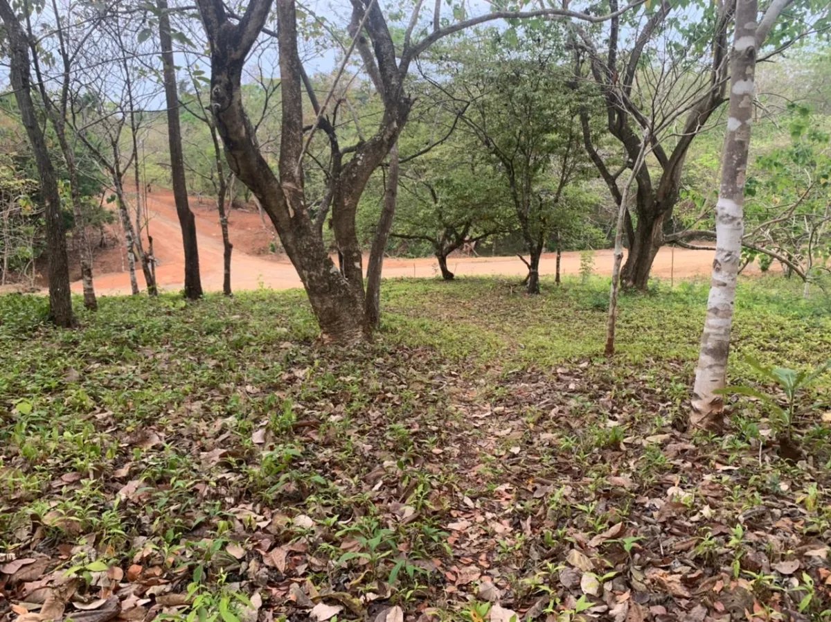 Lote en venta en santa catalina, veraguas. de 6700 metros cuadrados