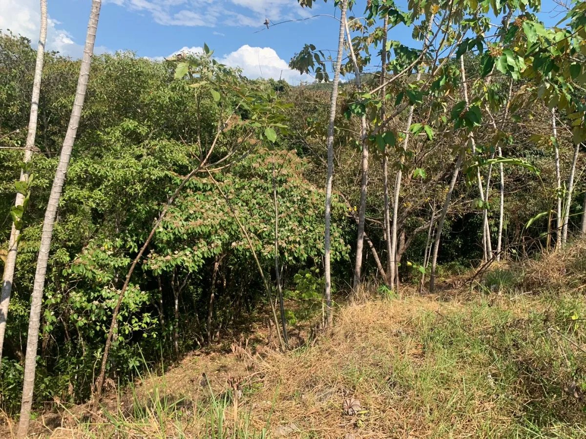 Lote en venta en comunidad residencial, torio hills, veraguas.