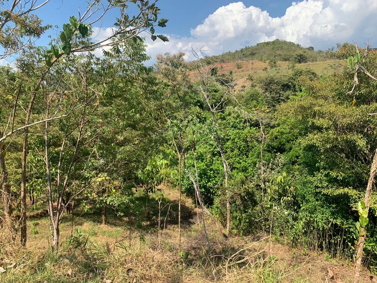Lote en venta en comunidad residencial, torio hills, veraguas.
