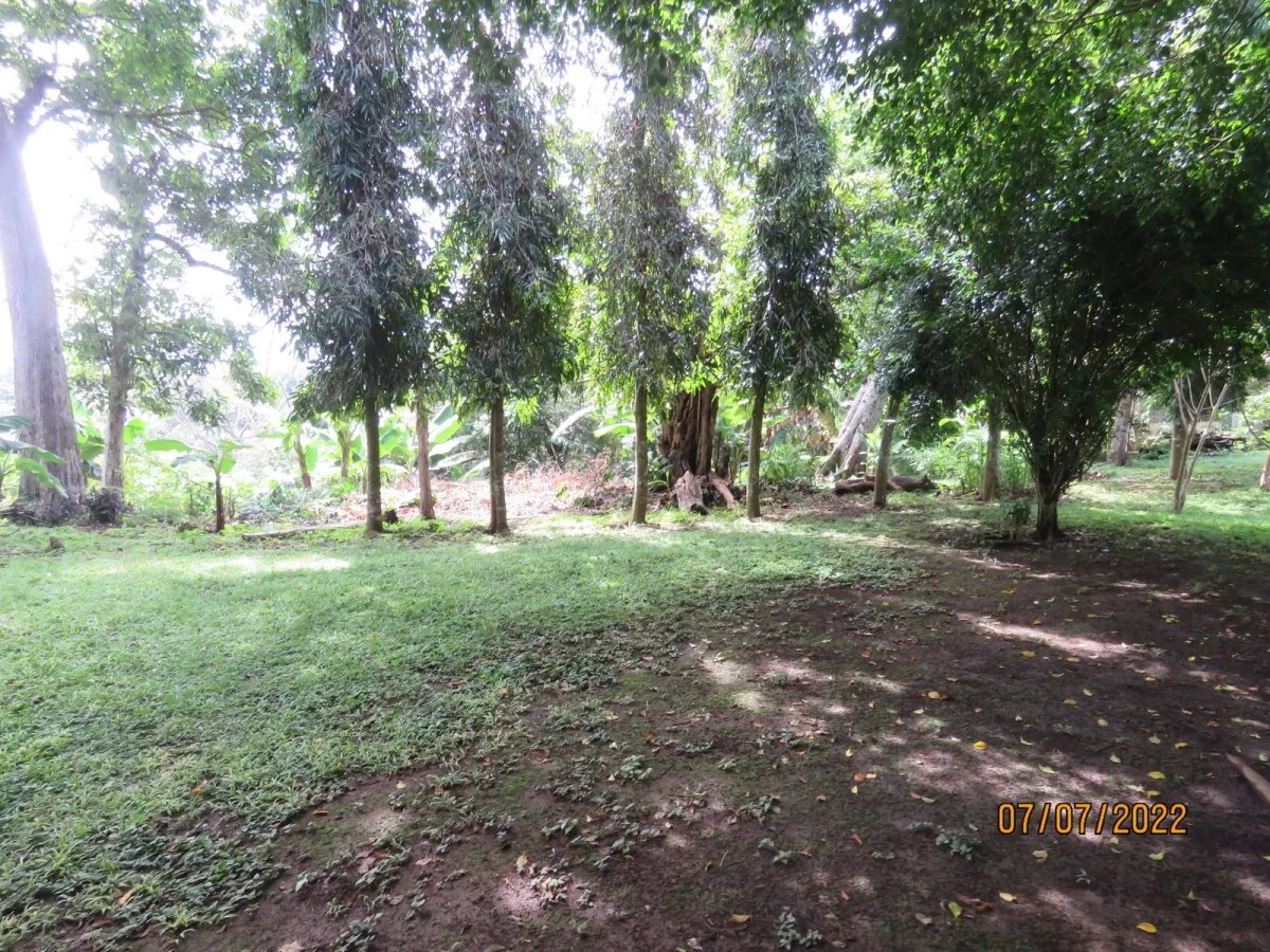 Gran casa familiar junto al centro comercial terronal en zona comercial