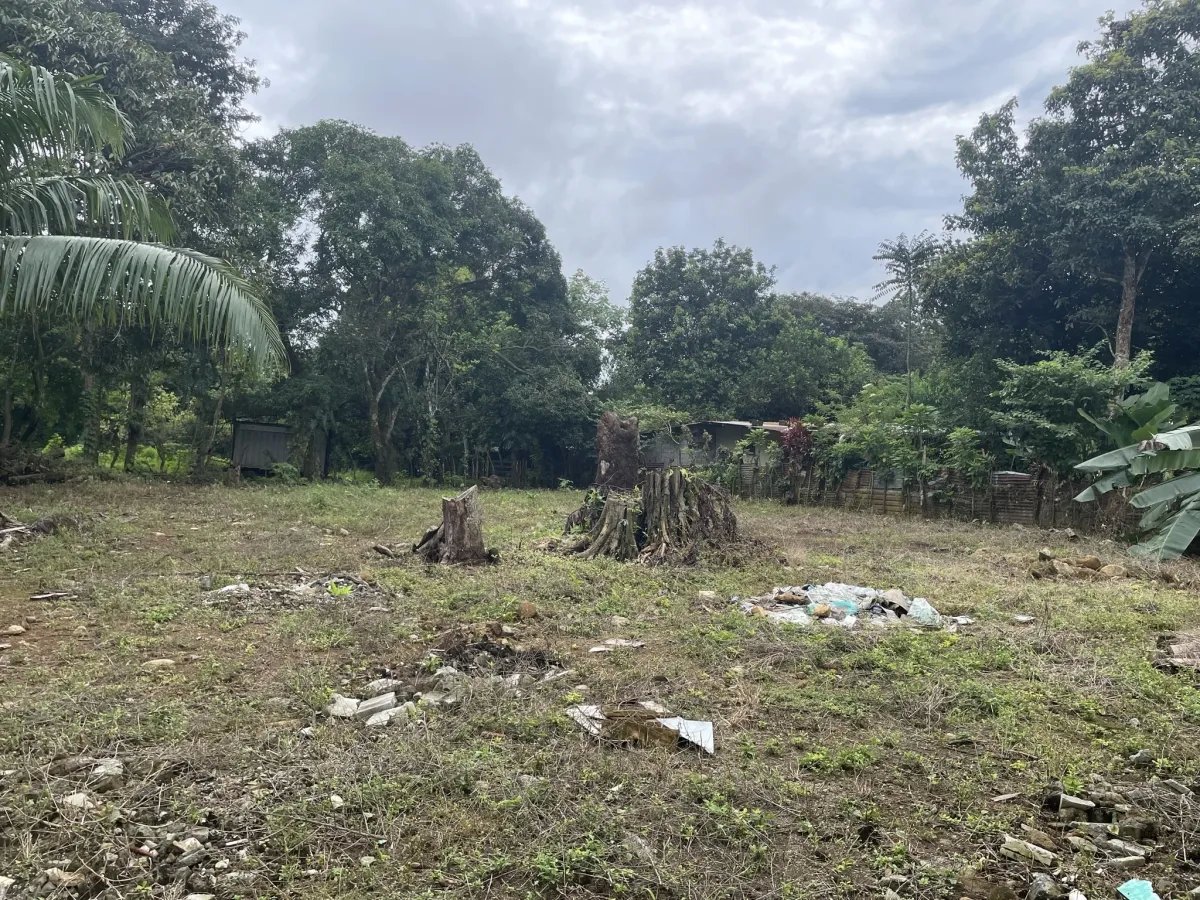 Casa casi terminada en un gran terreno en dolega