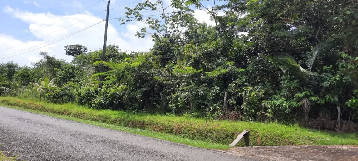 Lote con precio atractivo en un lindo pueblo cerca de la playa