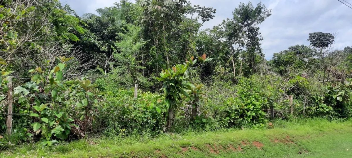 Lote con precio atractivo en un lindo pueblo cerca de la playa
