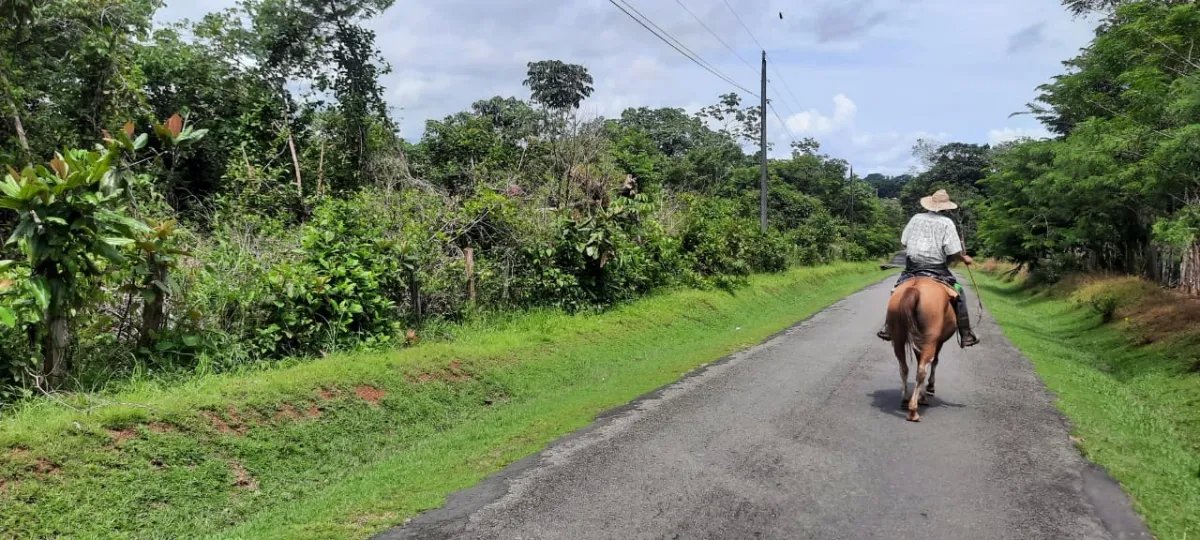 Lote con precio atractivo en un lindo pueblo cerca de la playa