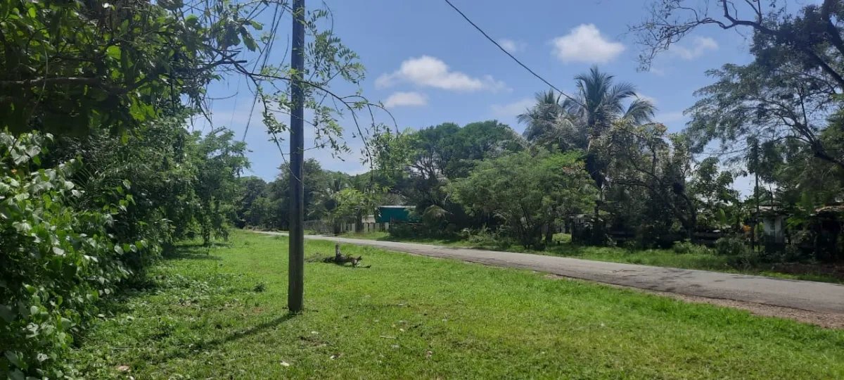 Terreno grande y plano en las lajas, a 10 minutos de la playa