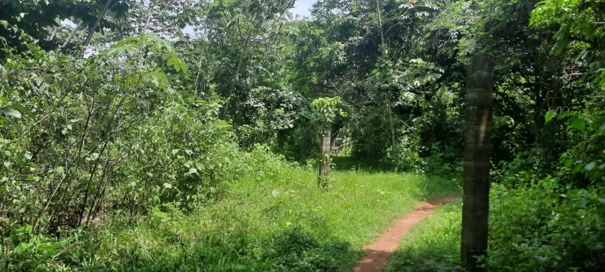 Terreno grande y plano en las lajas, a 10 minutos de la playa