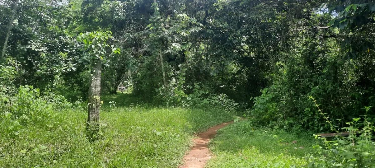 Terreno grande y plano en las lajas, a 10 minutos de la playa