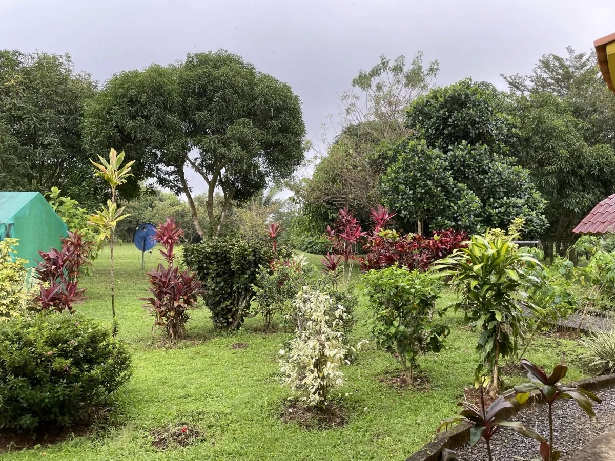 Alegre casa familiar en un gran terreno cerca de dolega