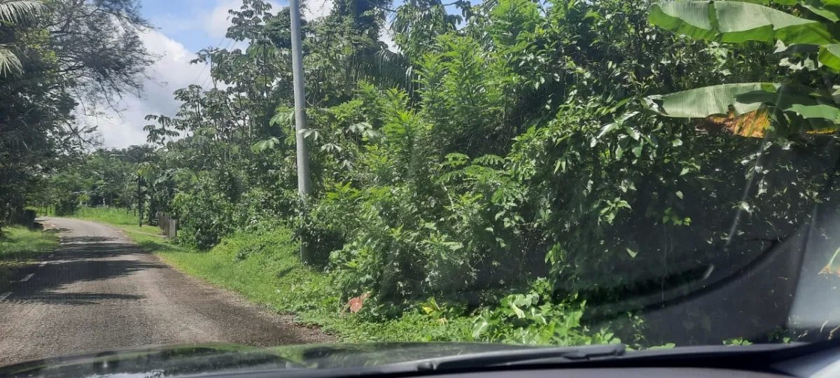 Lote tranquilo pero céntrica en las lajas, a 10 minutos de la playa