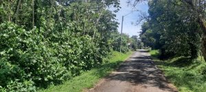 138964 - Chiriquí - lots - villa nueva