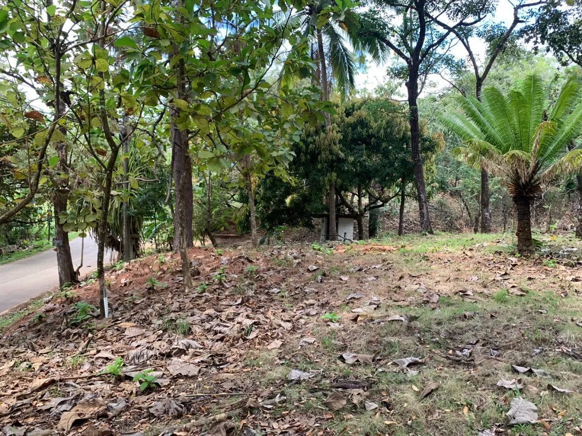 Lote de casa en venta en santa catalina