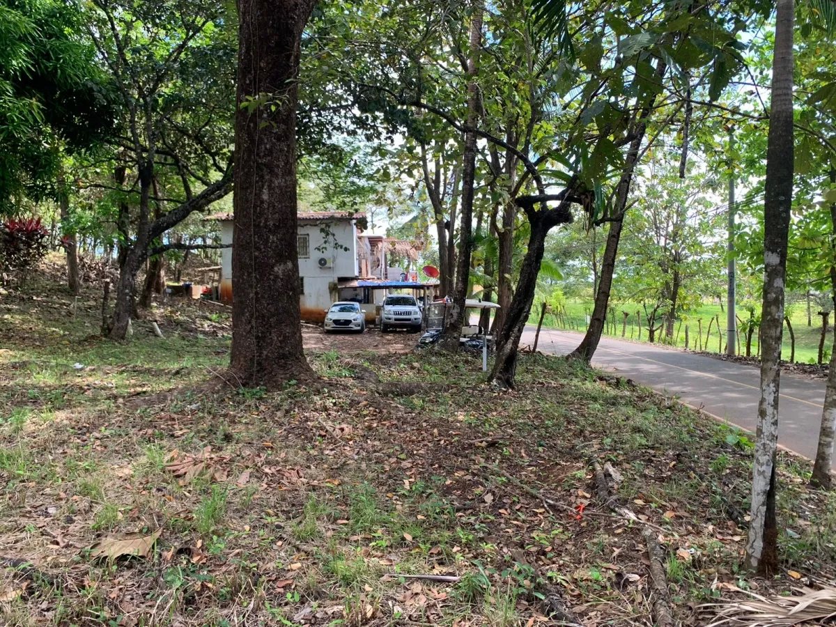Lote de casa en venta en santa catalina