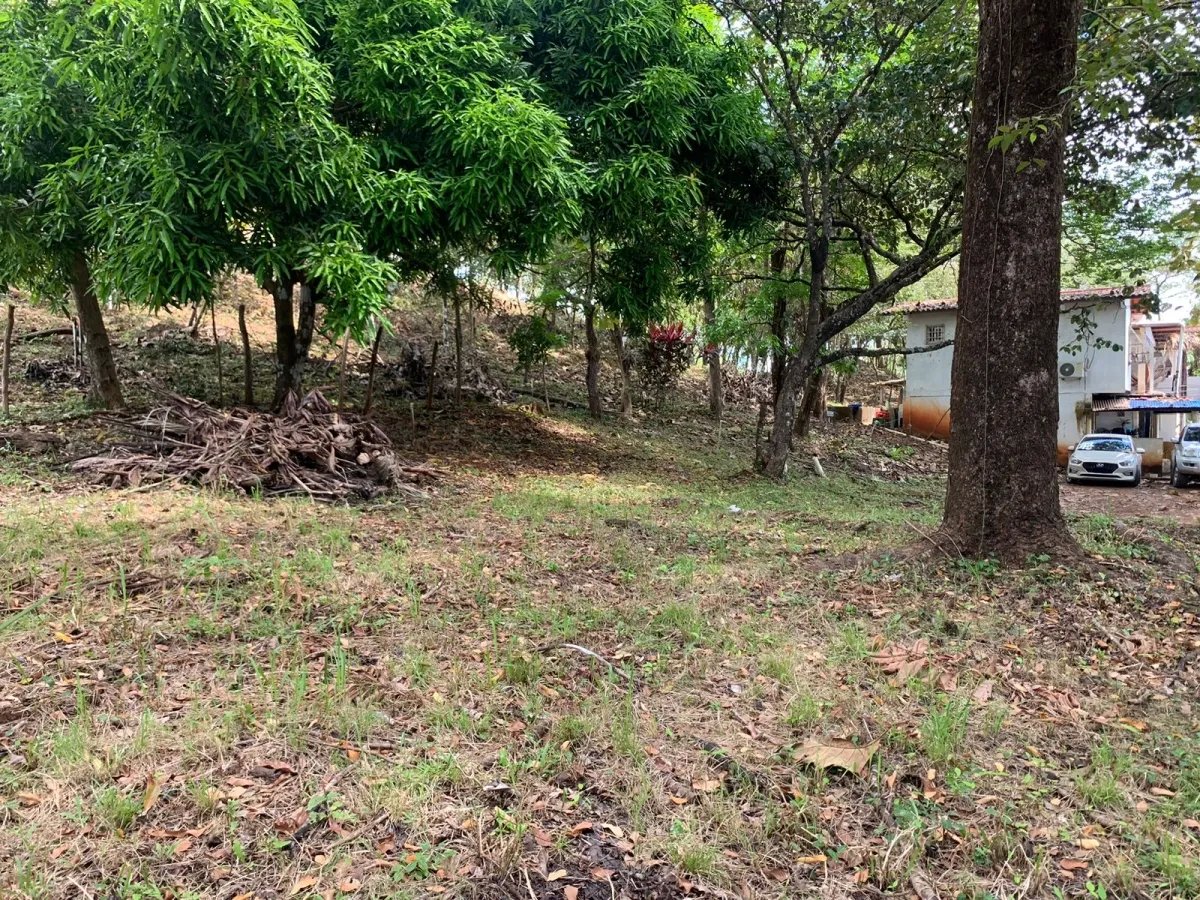 Lote de casa en venta en santa catalina