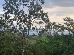 138972 - Santa catalina - lots