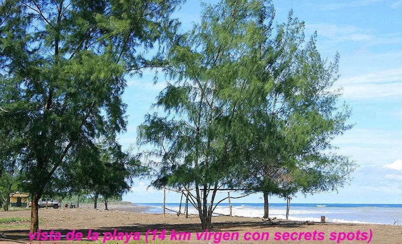 Gran venta de dos lotes en playa Guanico, a 18 km de Tonosi, separados o juntos: ambos son linderos.