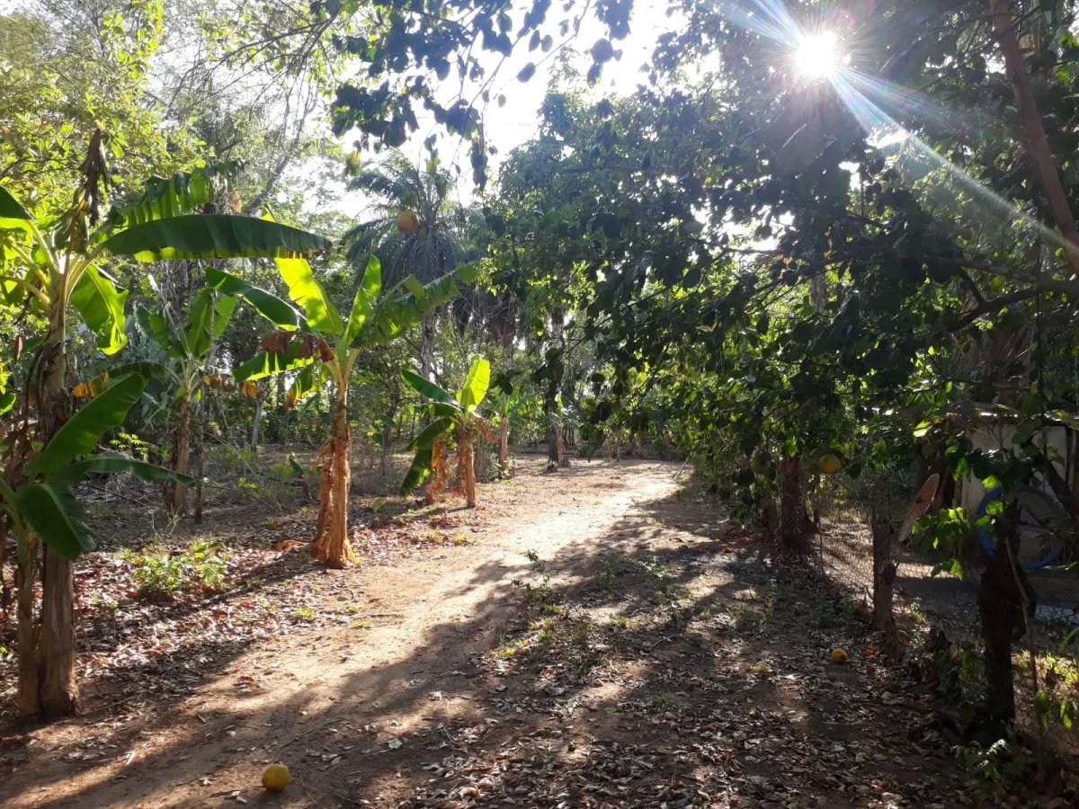Casa en venta en el centro del municipio de guarumal, veraguas. cerca del destino turistico santa catalina.   casa ubicada frente al centro de salud d