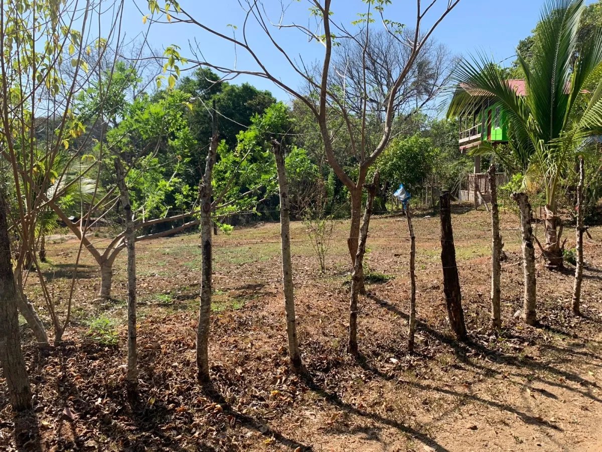 Se vende propiedad de 800 metros cuadrados, frente al mar. playa lagartero, santa catalina