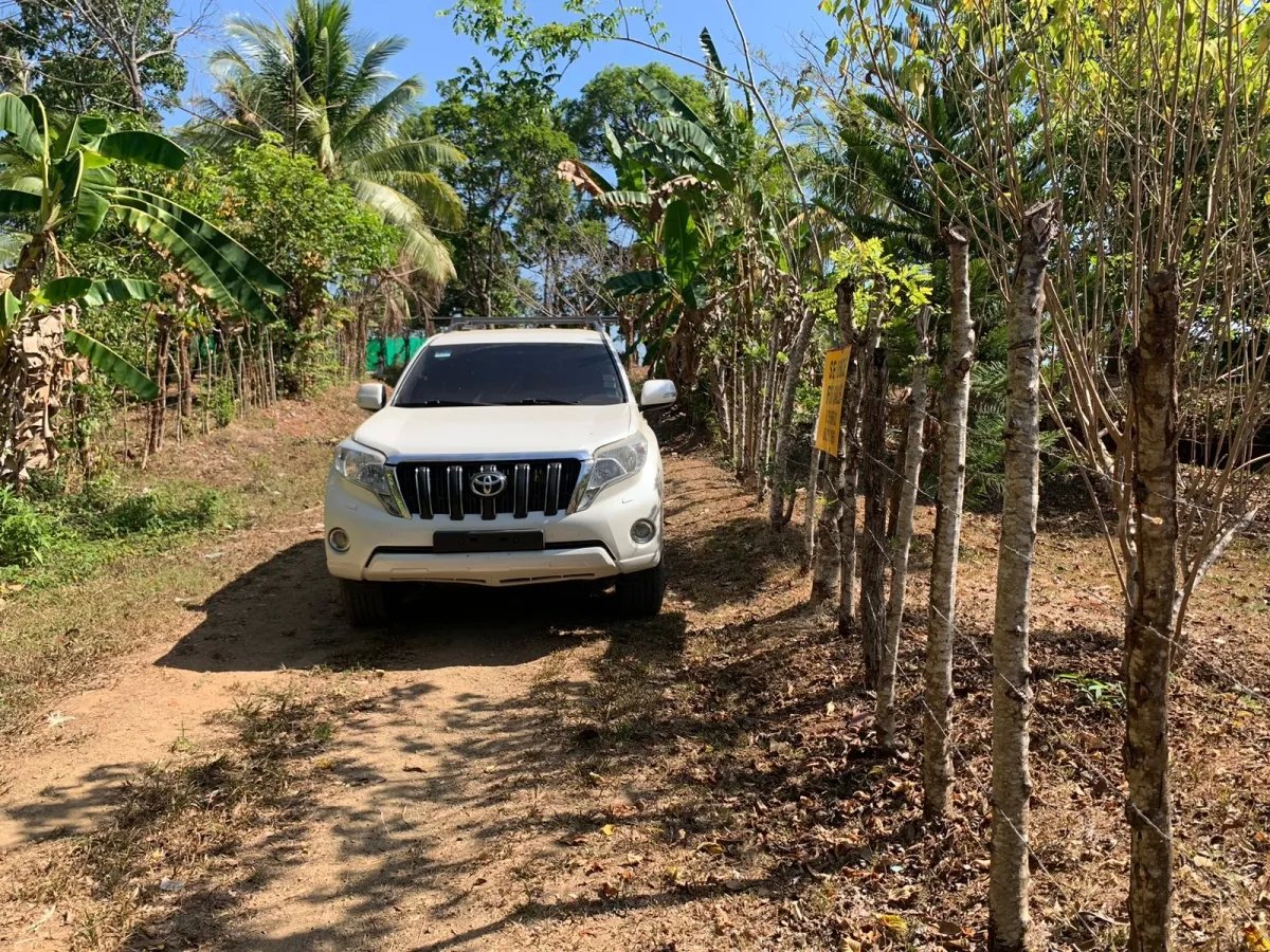 Se vende propiedad de 800 metros cuadrados, frente al mar. playa lagartero, santa catalina