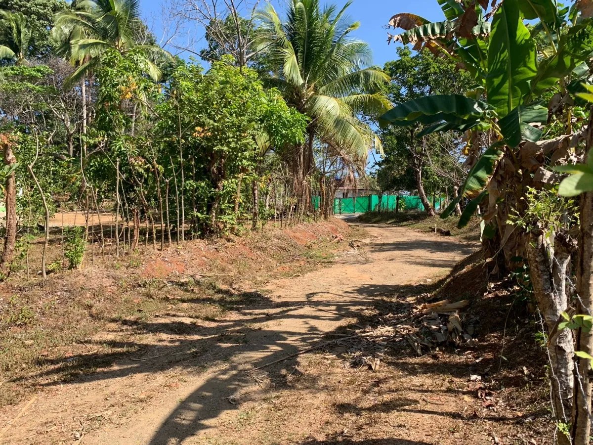 Se vende propiedad de 800 metros cuadrados, frente al mar. playa lagartero, santa catalina