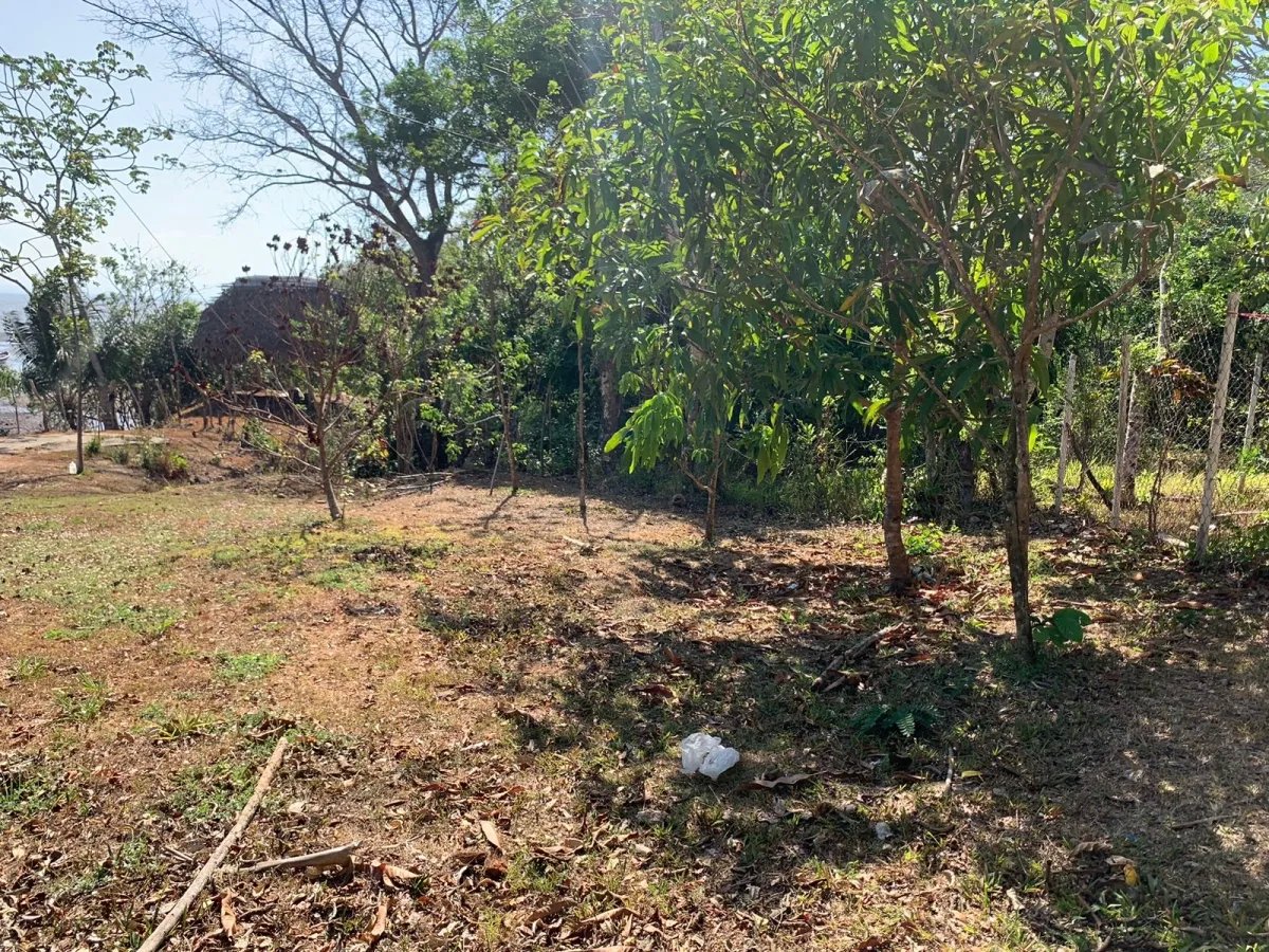 Se vende propiedad de 800 metros cuadrados, frente al mar. playa lagartero, santa catalina
