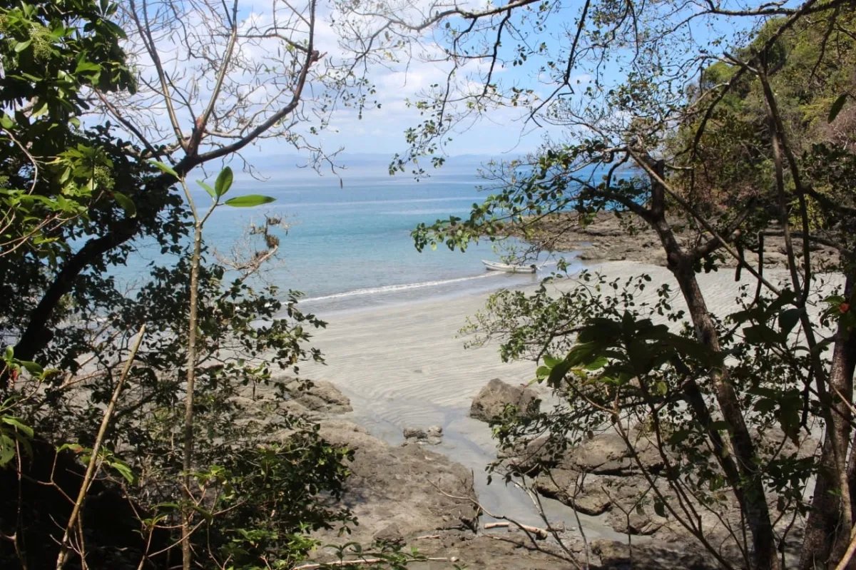 Propiedad en venta de casi 7 hectáreas (casi 17.29 acres), isla de ceb...