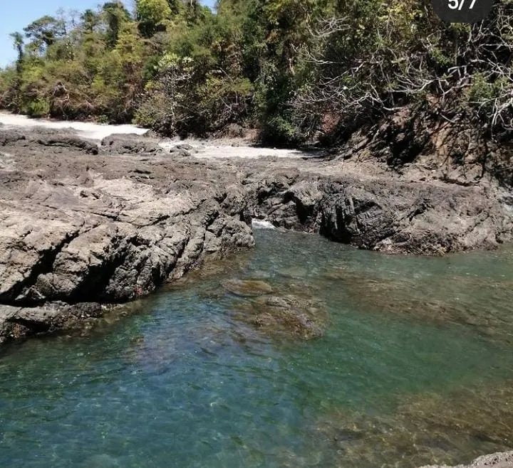 Propiedad en venta de casi 7 hectáreas (casi 17.29 acres), isla de ceb...