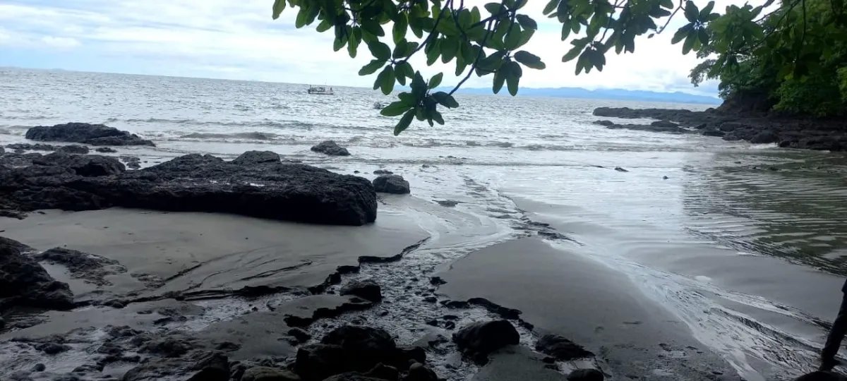 Propiedad en venta de casi 7 hectáreas (casi 17.29 acres), isla de cebaco, frente al mar. veraguas.