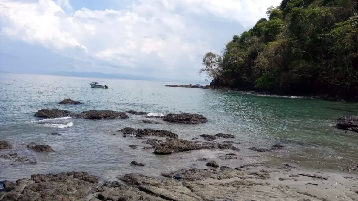 Propiedad en venta de casi 7 hectáreas (casi 17.29 acres), isla de cebaco, frente al mar. veraguas.